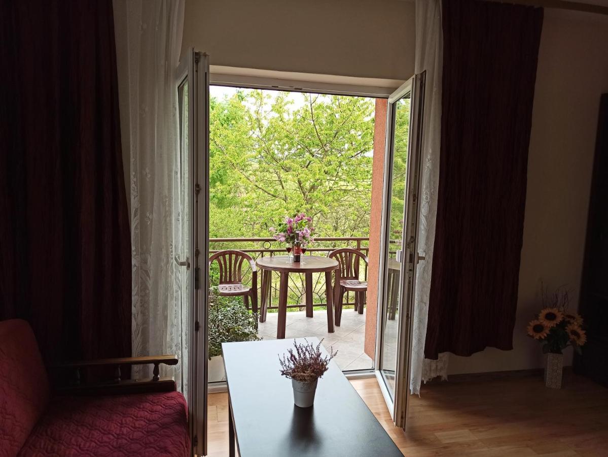 Apartament-Studio, Pokoje U Lucy 拉布卡 外观 照片